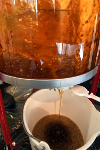 Honey making process @Manuel Vitali, Direction CommunicationMAN_2730