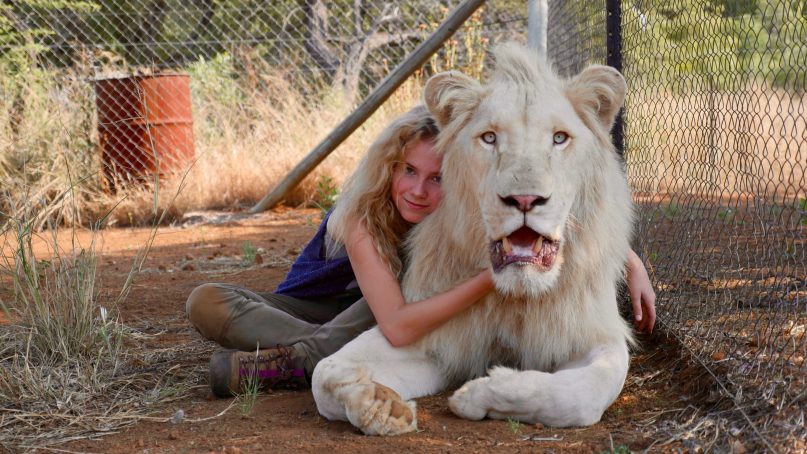 Daniah De Villiers as Mia with Charlie the White Lion @copyright Kevin RichardsonGalatÇe Films-Outside Films