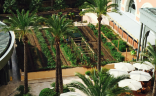Vegetable garden at Monte-Carlo Bay @TDM